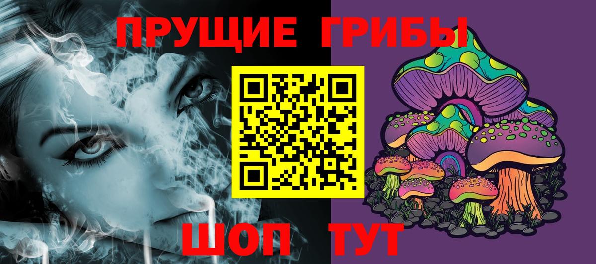 Сыктывкар  Псилоцибиновые грибы прущие грибы  Вход с VPN 